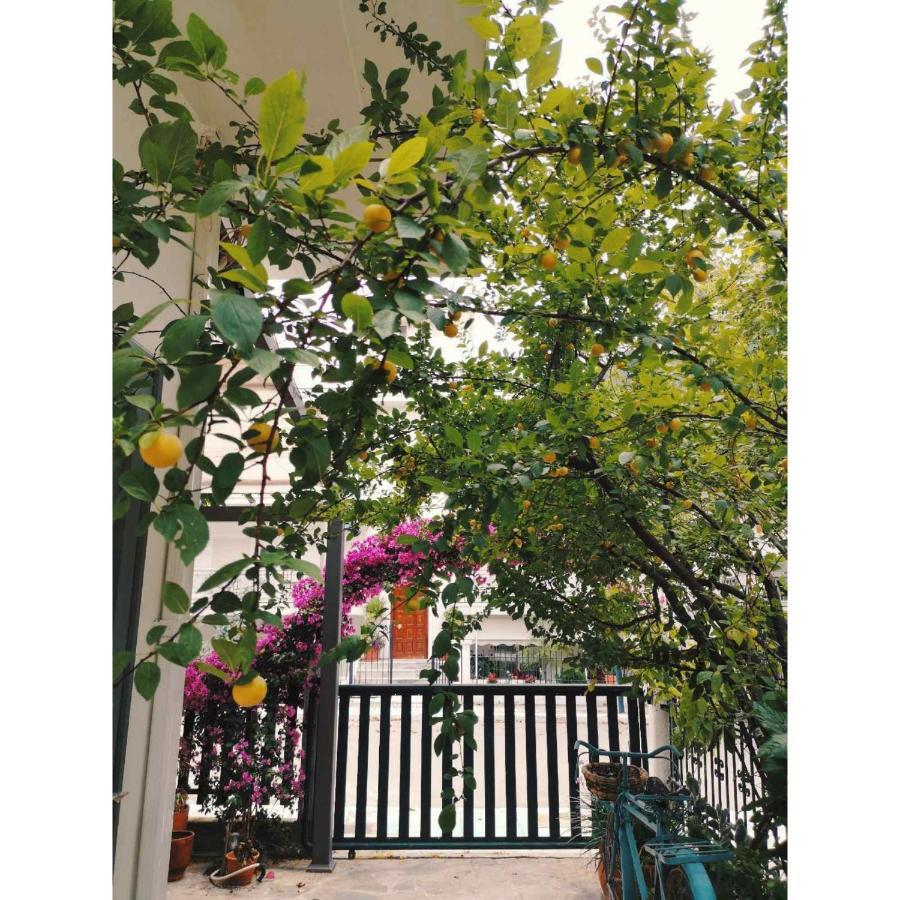 Hotel Ritsa Kamena Vourla Ngoại thất bức ảnh