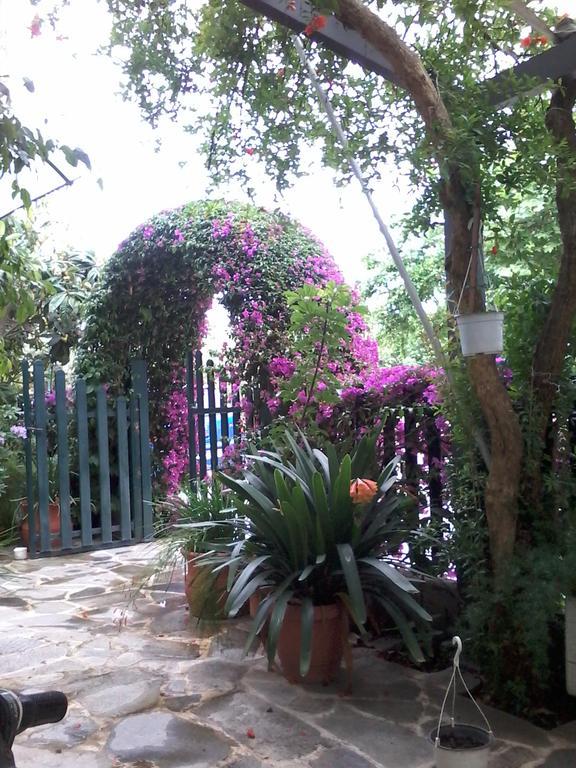 Hotel Ritsa Kamena Vourla Ngoại thất bức ảnh